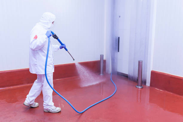 Best Dumpster Area Cleaning  in Mila Doce, TX